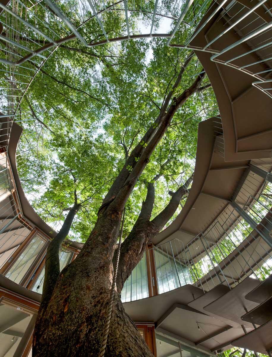 Tezuka Architects, Tokyo 2007. Eine leichte Architektur umkreist Natur und wird zum Spielgerät. Den Kindern gefällt der kleine Freiraum, den der Baum bietet. Bild: Katsuhisa Kida